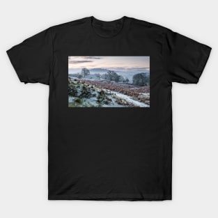 Winters Morning Light T-Shirt